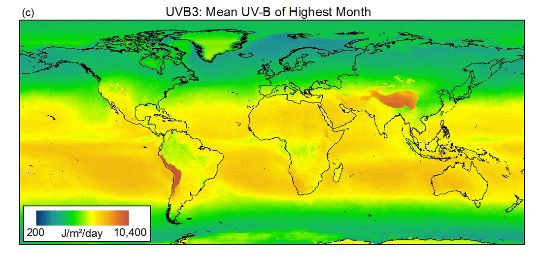 UV Radiation - SCIENCE FINAL TASK